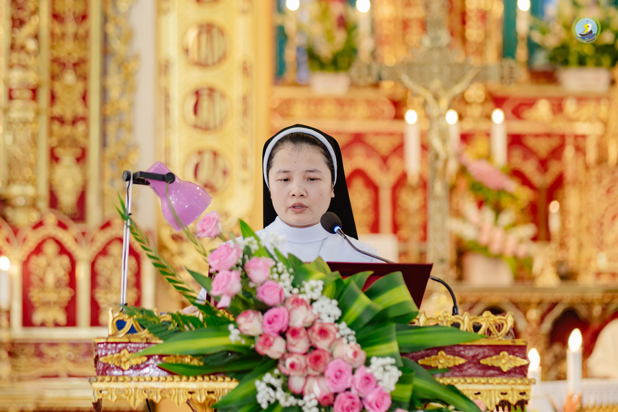 Photo-7