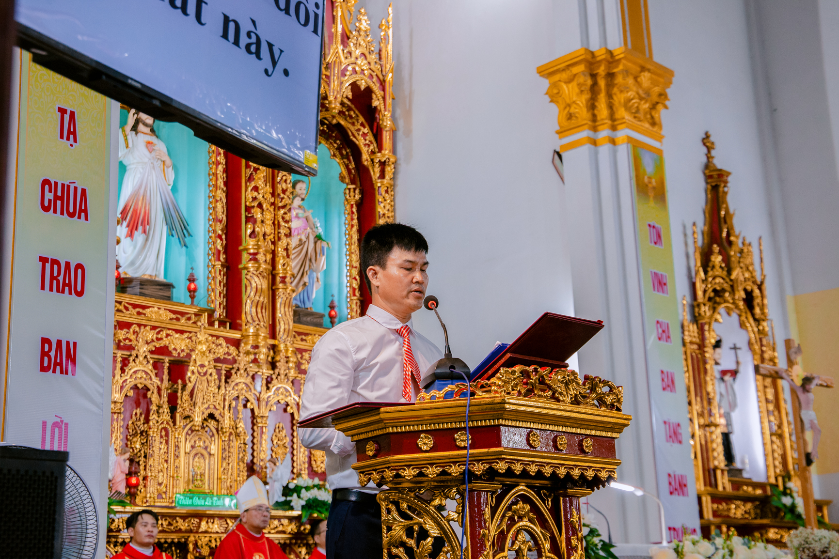Photo-6