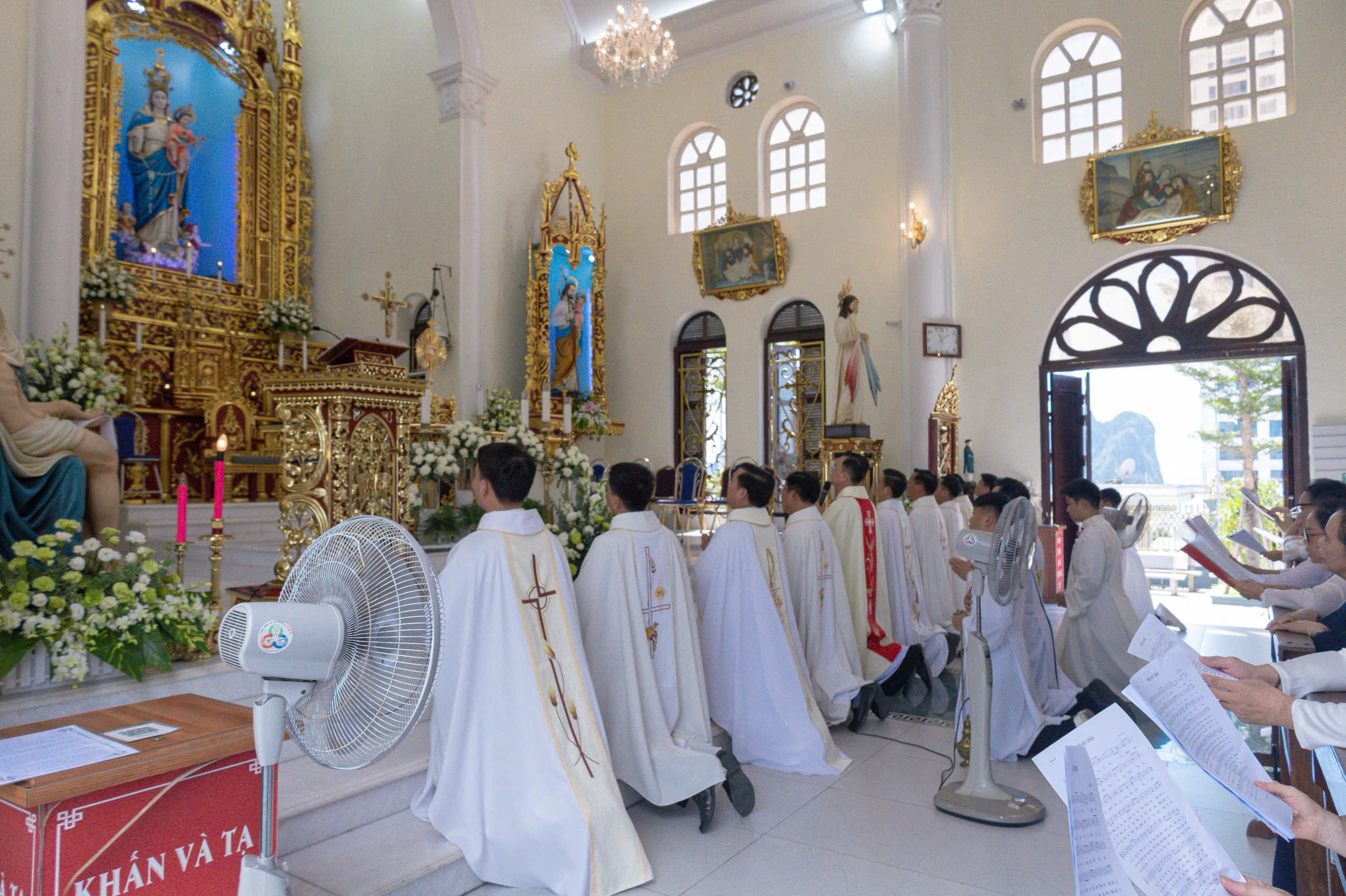 Photo-11