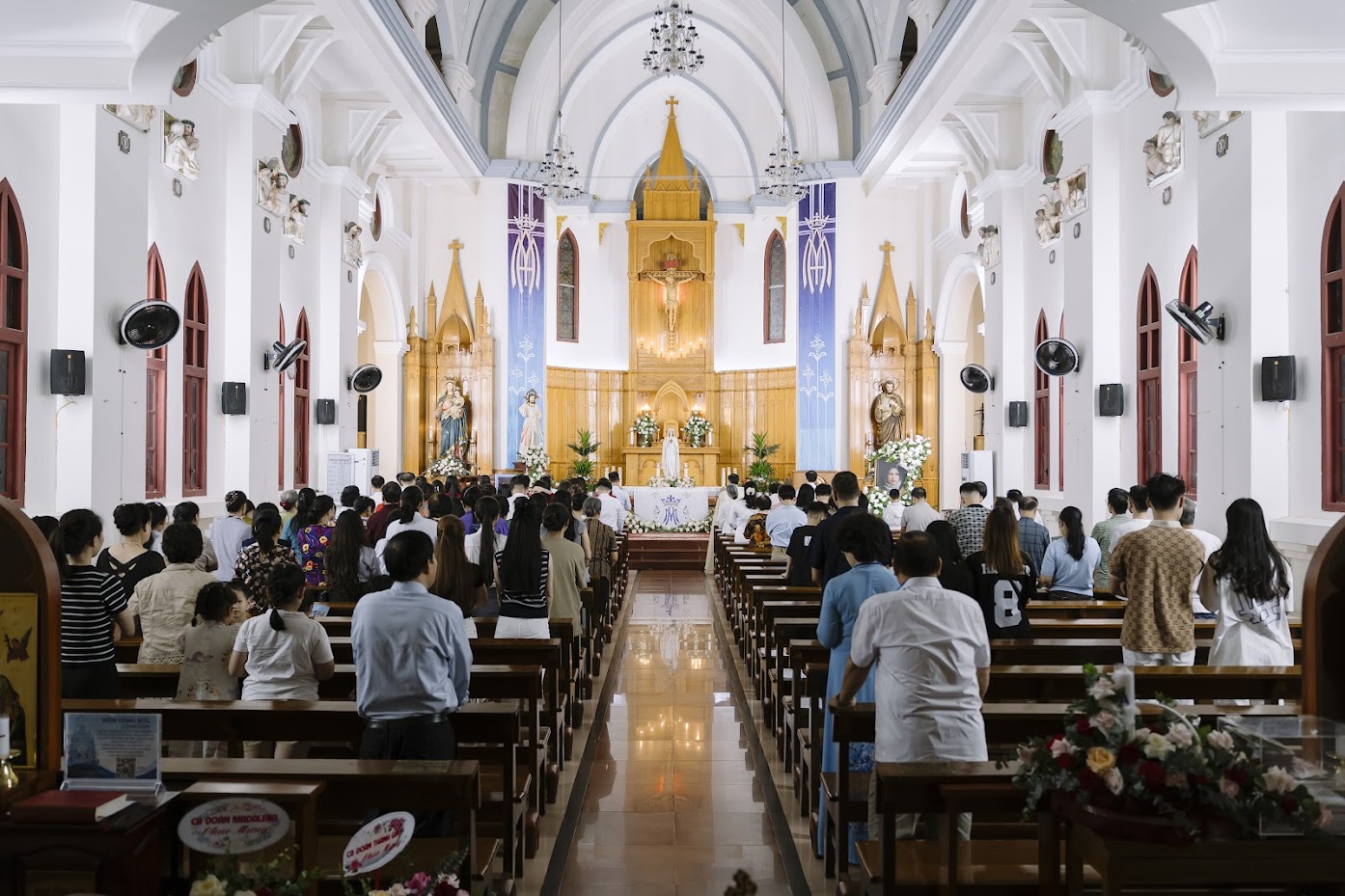 Photo-6