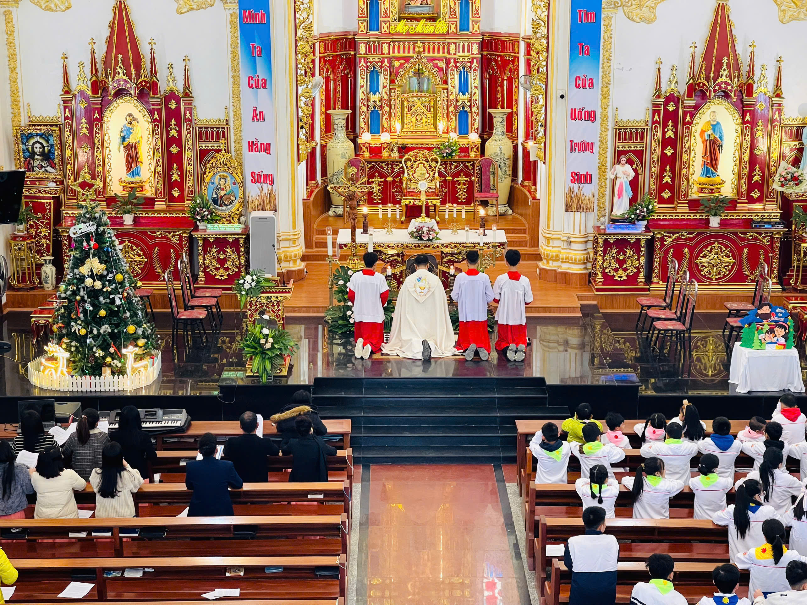 Photo-11