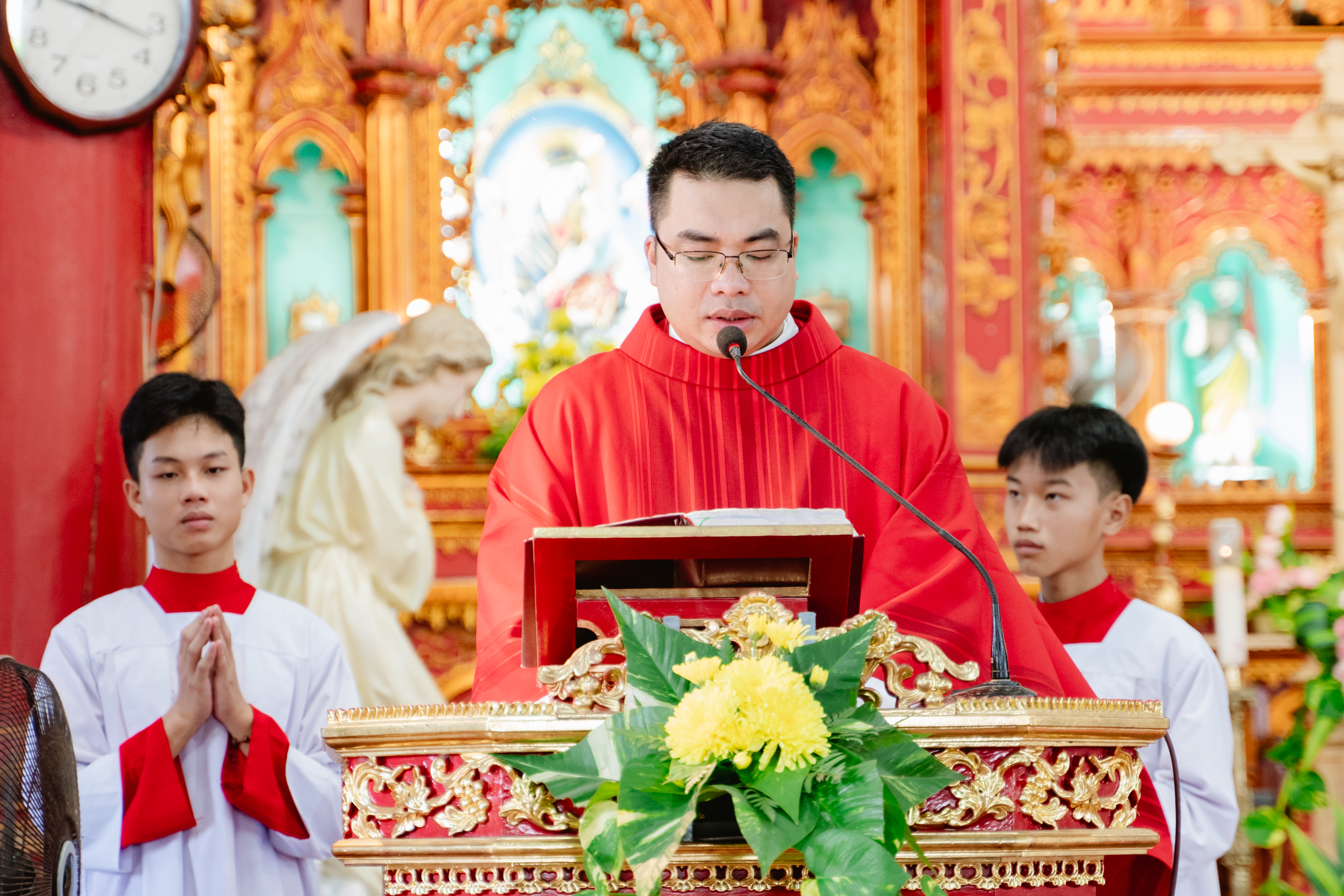 Photo-7
