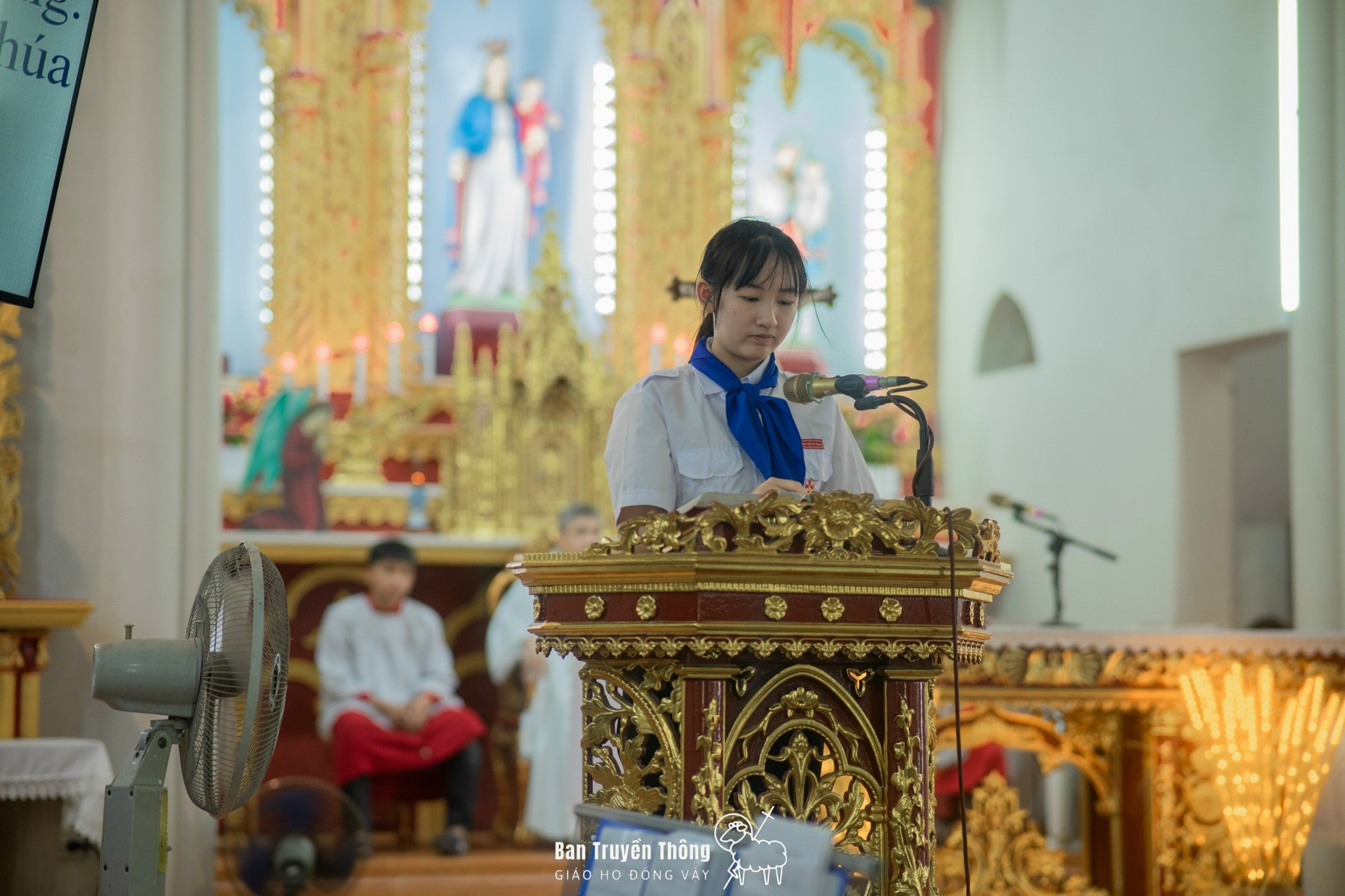 Photo-6