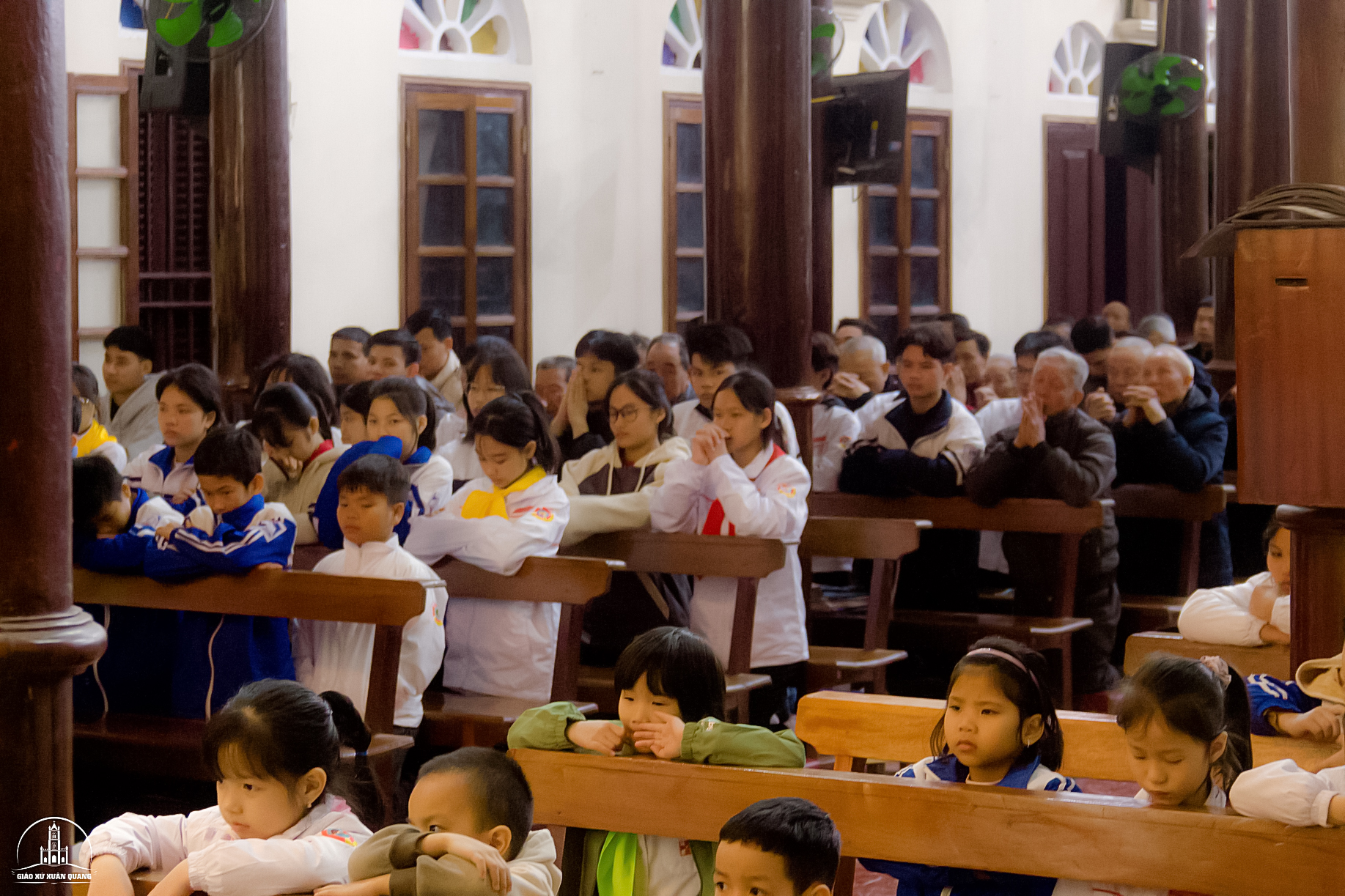 Photo-3