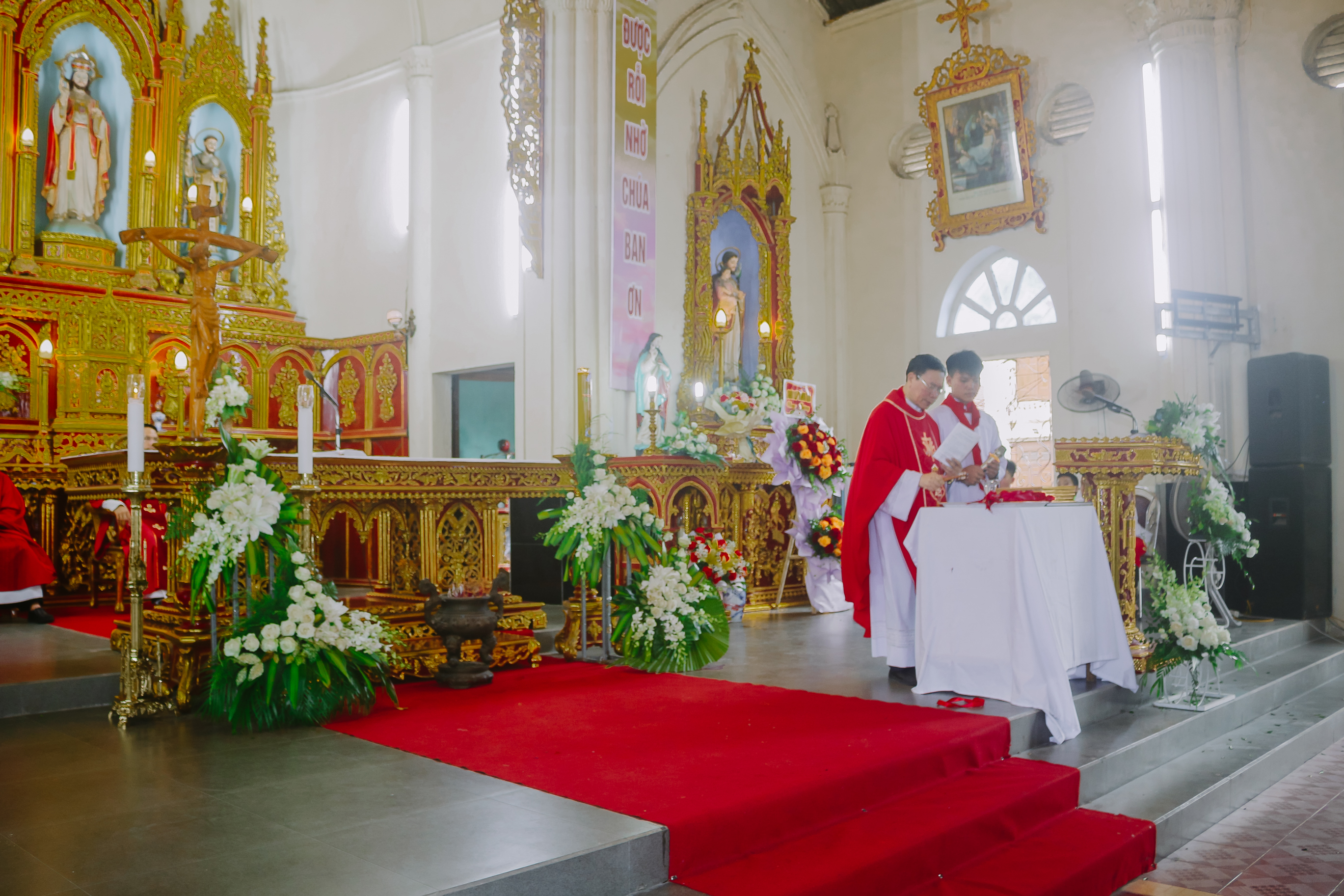 Photo-6