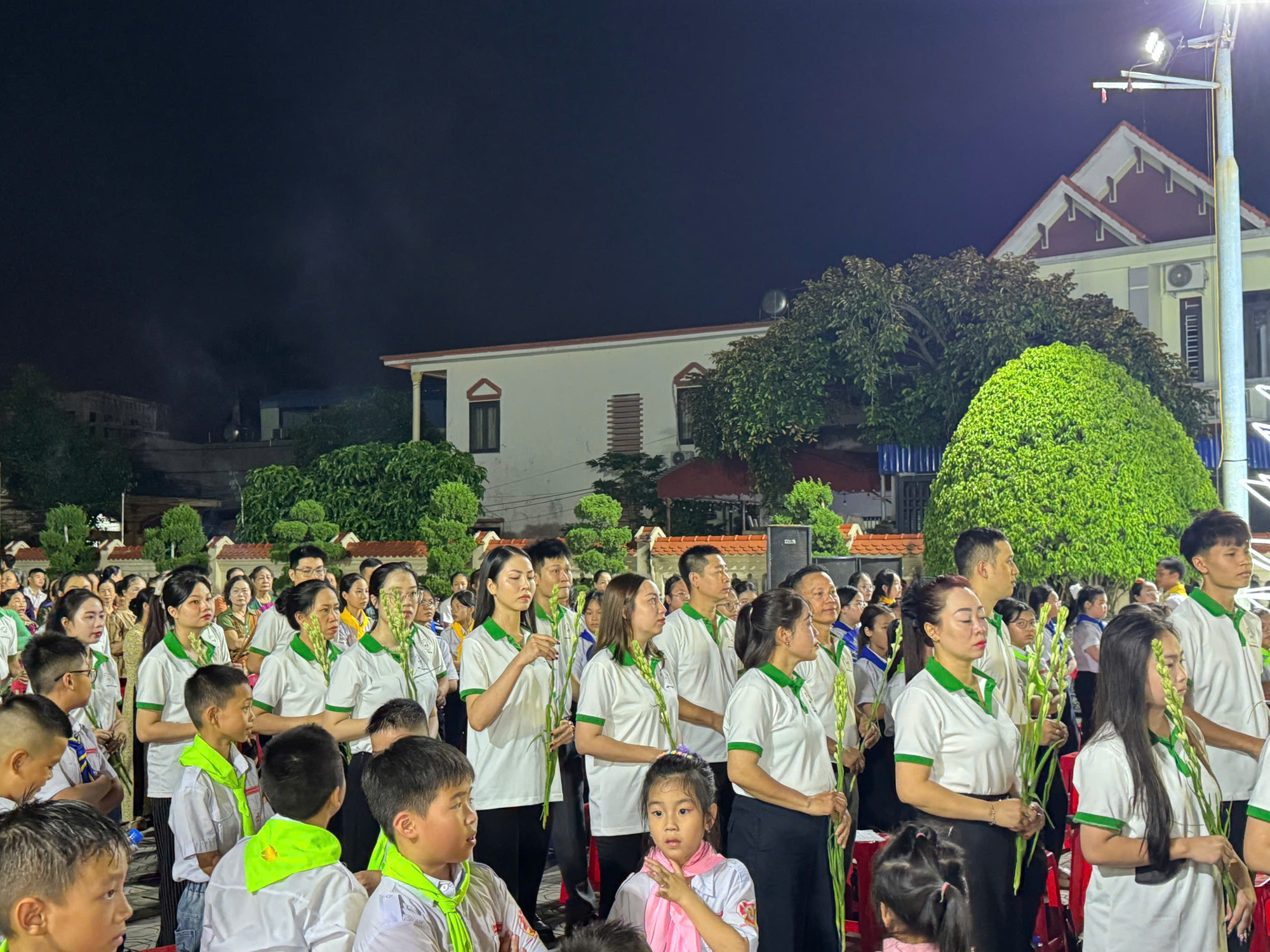 Photo-1